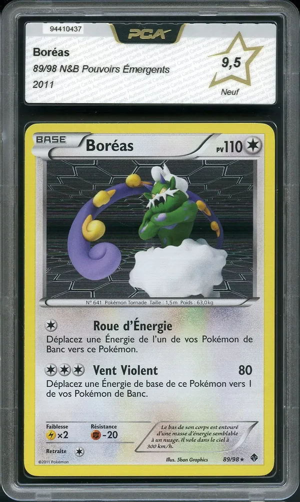 PCA 9.5 Boréas Holo