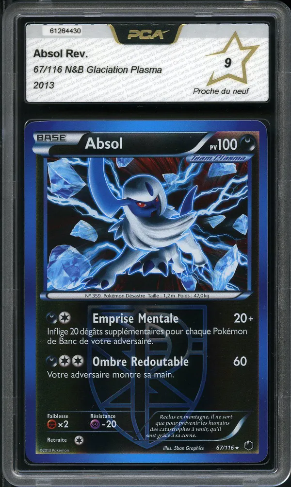 PCA 9 Absol Reverse