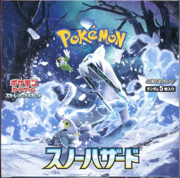 Display SV2P Snow Hazard