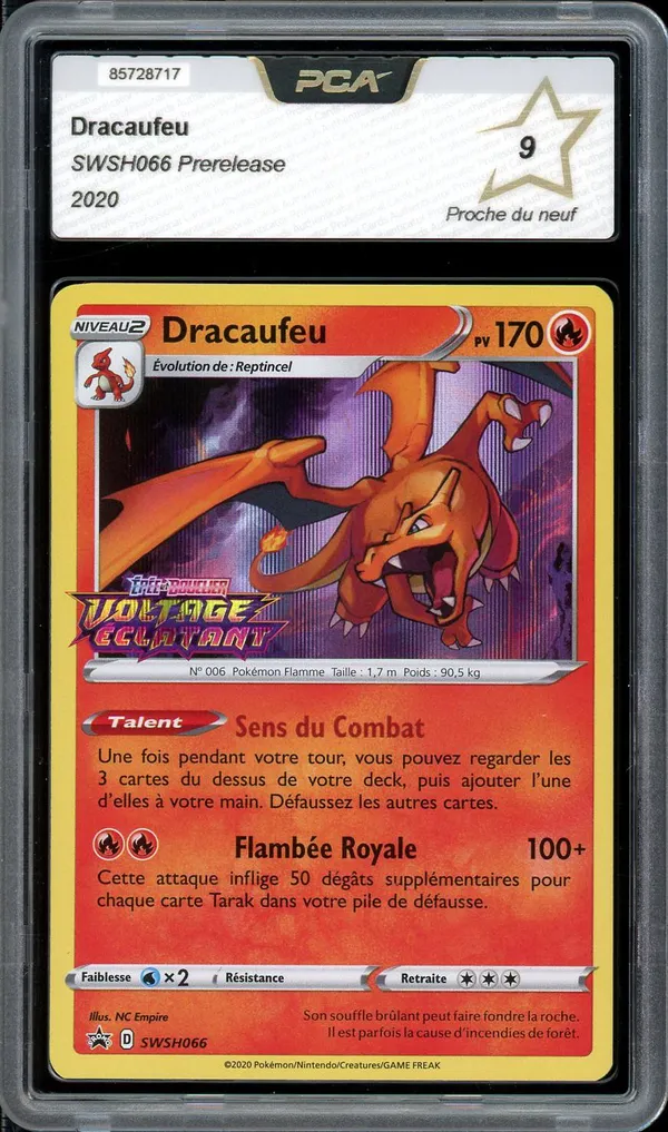 PCA 9 Dracaufeu Holo