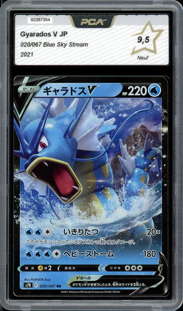 PCA 9.5 Gyarados V