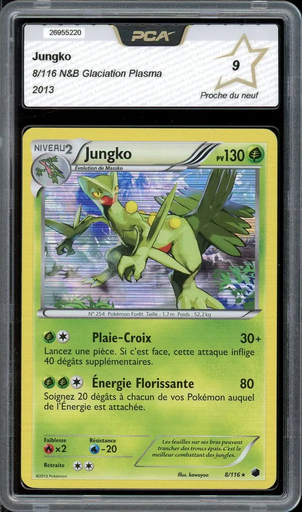 PCA 9 Jungko Holo
