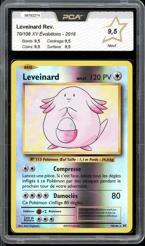 PCA 9.5 Leveinard Reverse