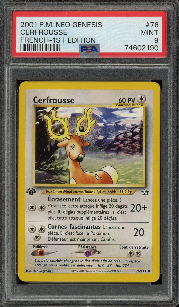 PSA 9 Cerfrousse
