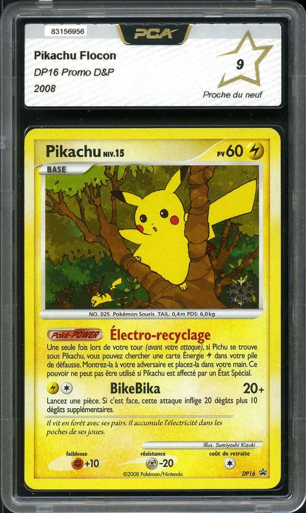 PCA 9 Pikachu Flocon