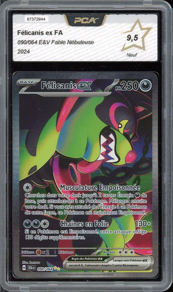 PCA 9.5 Félicanis Ex