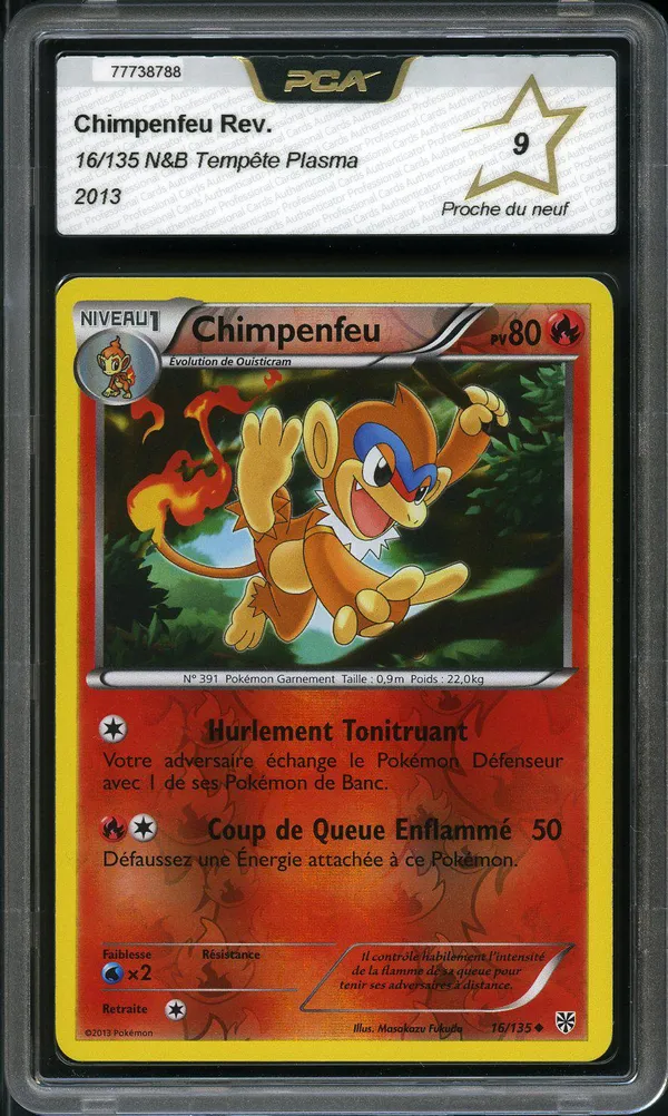 PCA 9 Chimpenfeu Reverse