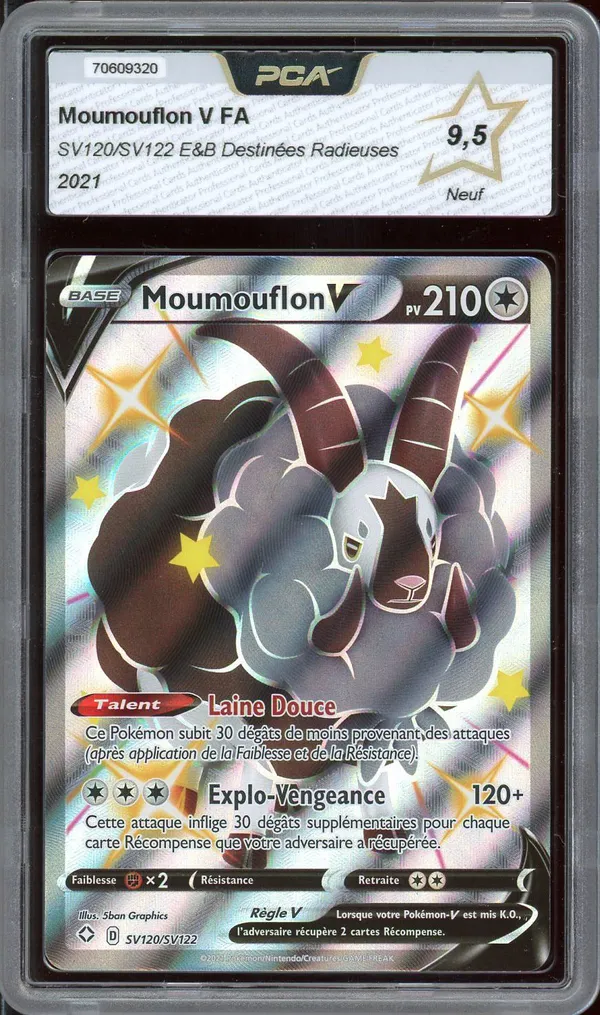 PCA 9.5 Moumouflon V