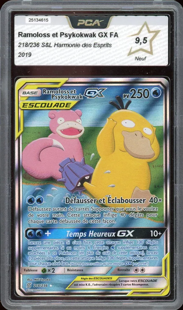 PCA 9.5 Ramoloss et Psykokwak Gx