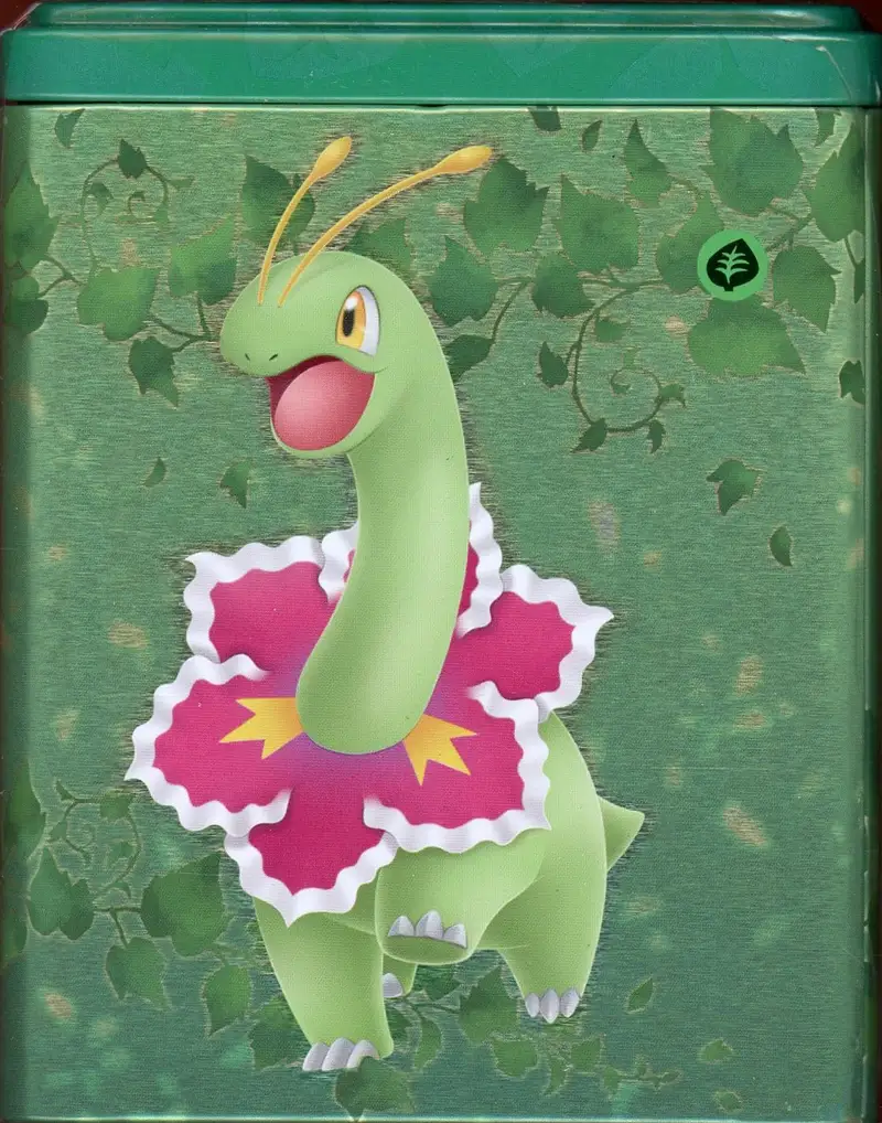 Tin Cube Epée & Bouclier Meganium