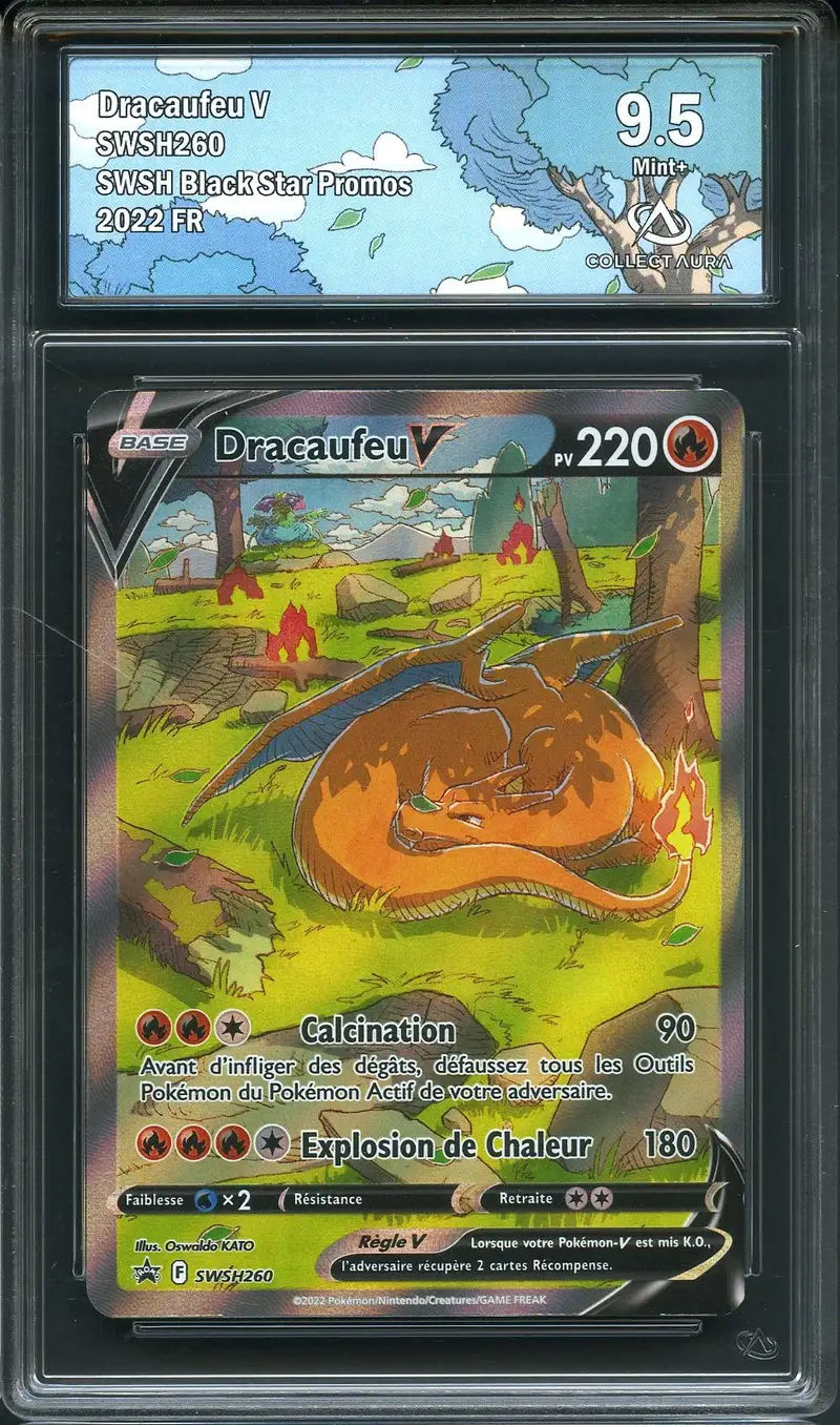 CA 9.5 Dracaufeu V