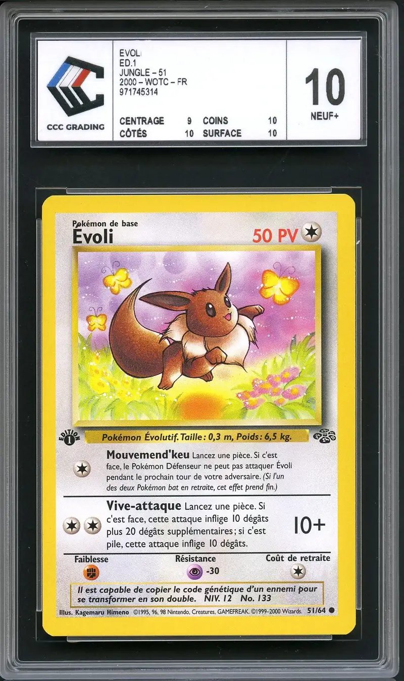 CCC 10 Evoli