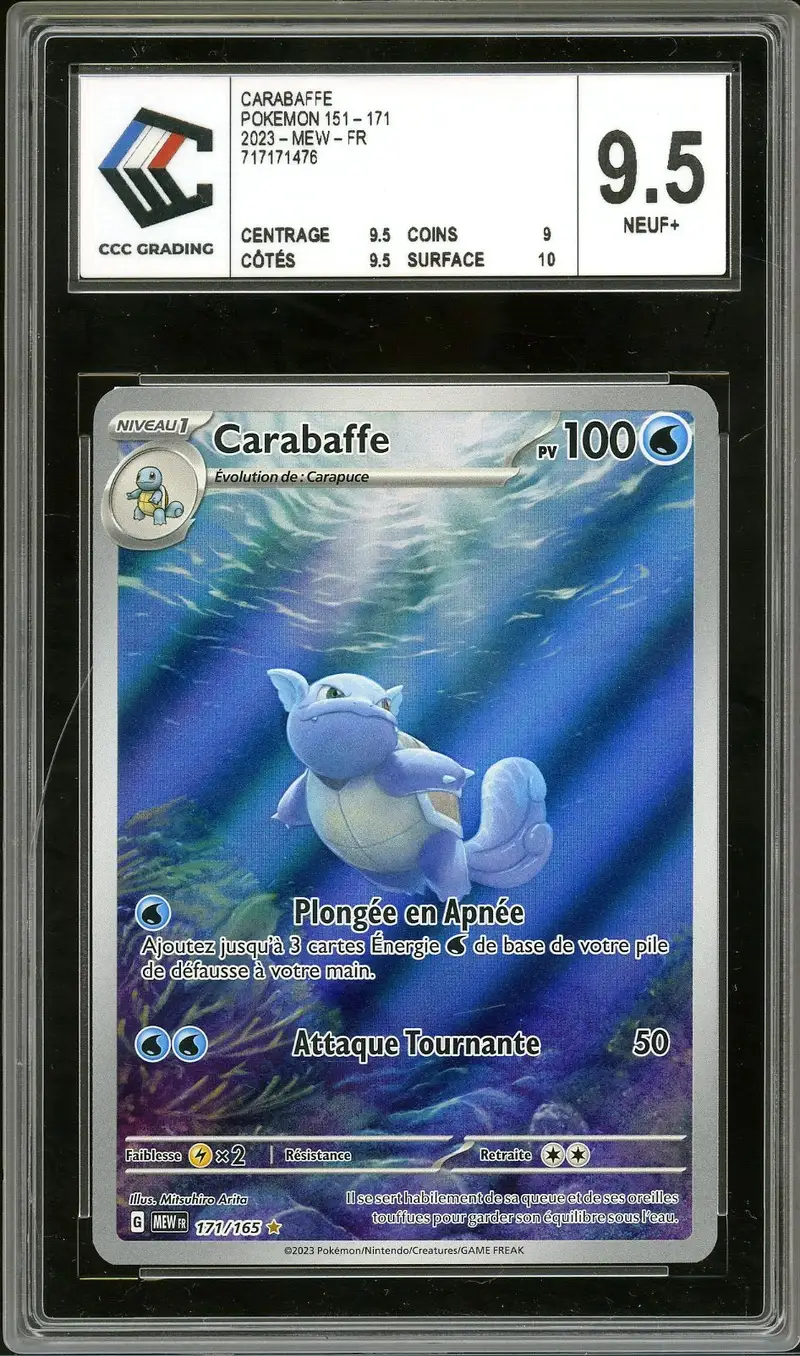 CCC 9.5 Carabaffe