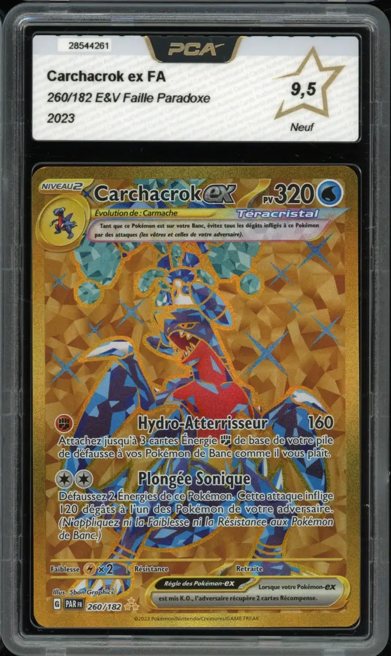 PCA 9.5 Carchacrok Ex Gold