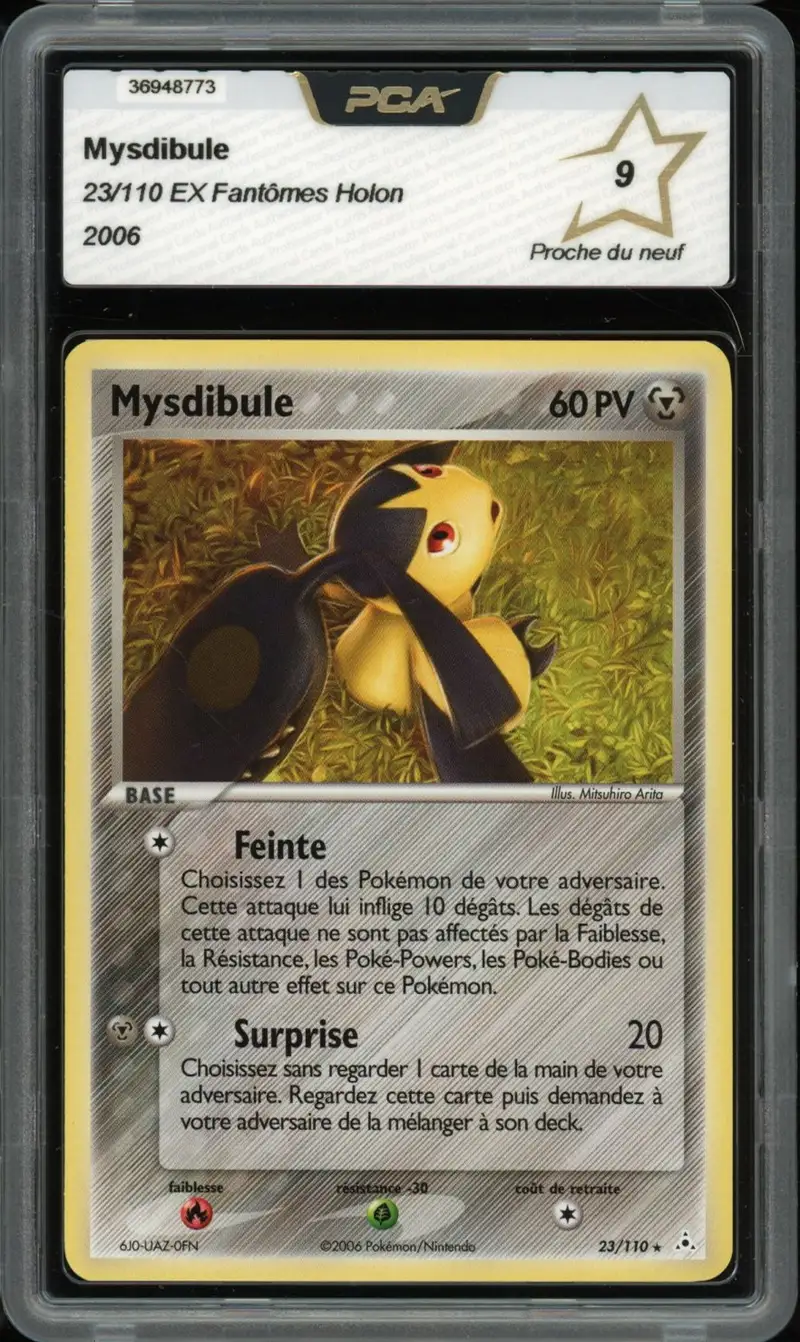 PCA 9 Mysdibule