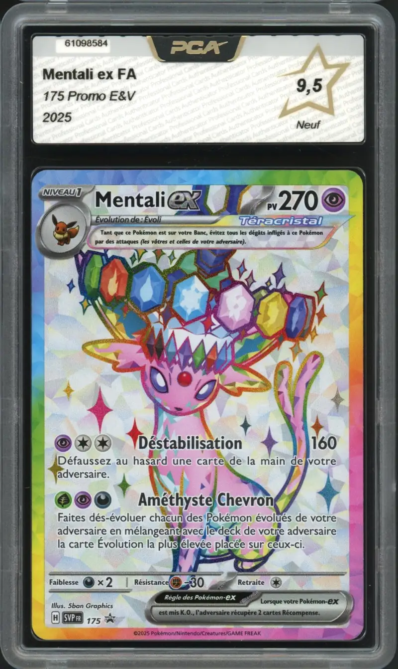 PCA 9.5 Mentali Ex