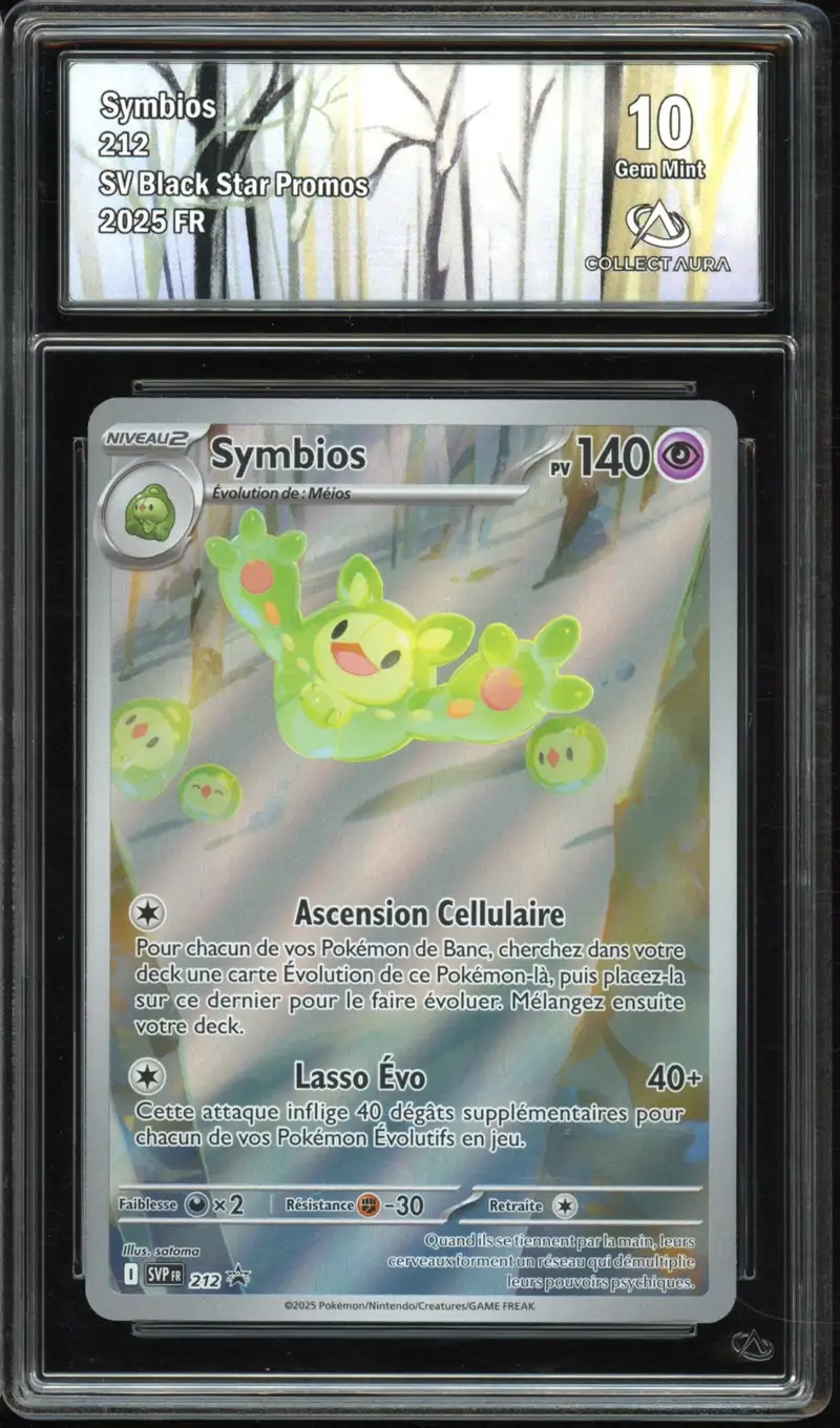 CA 10 Symbios