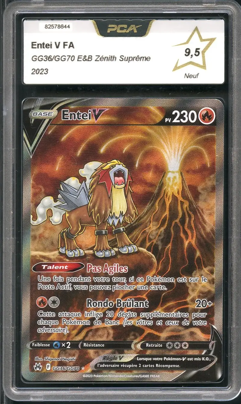 PCA 9.5 Entei V