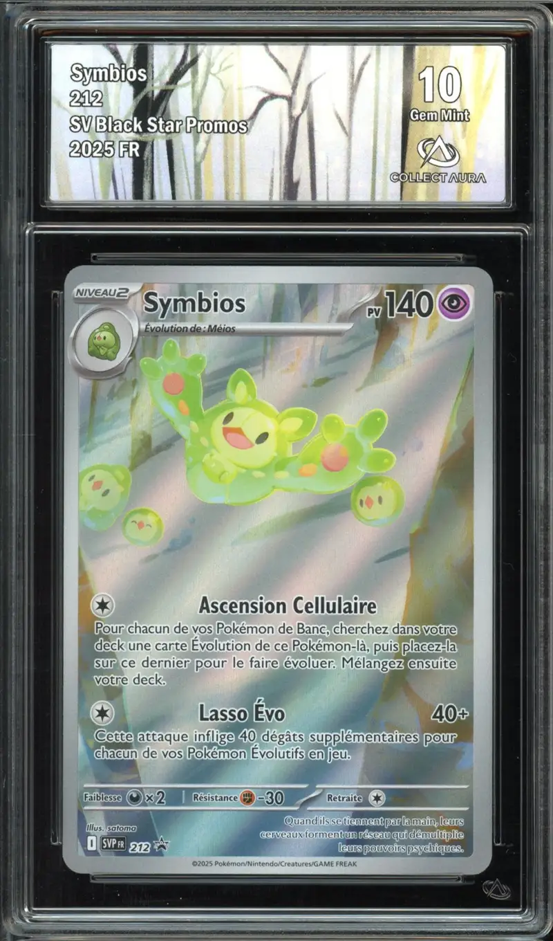 CA 10 Symbios