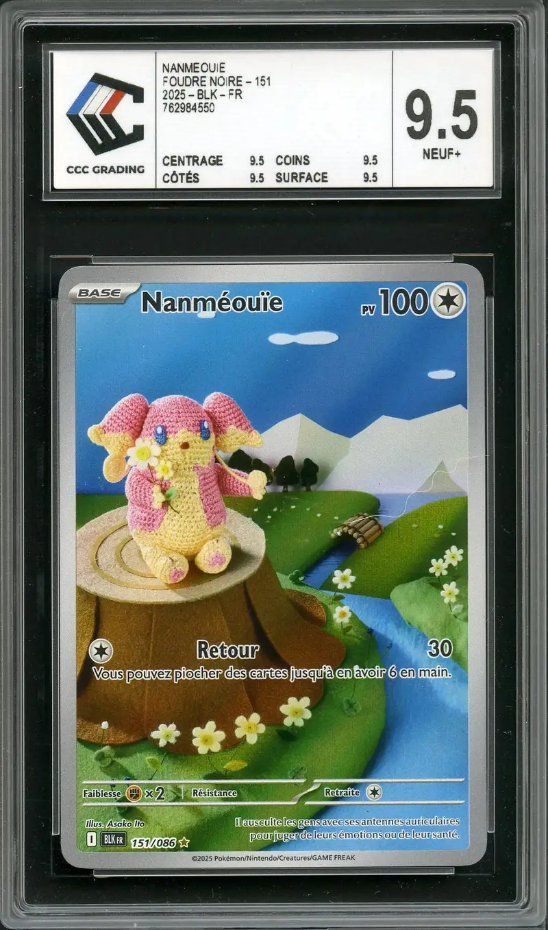 CCC 9.5 Nanméouïe