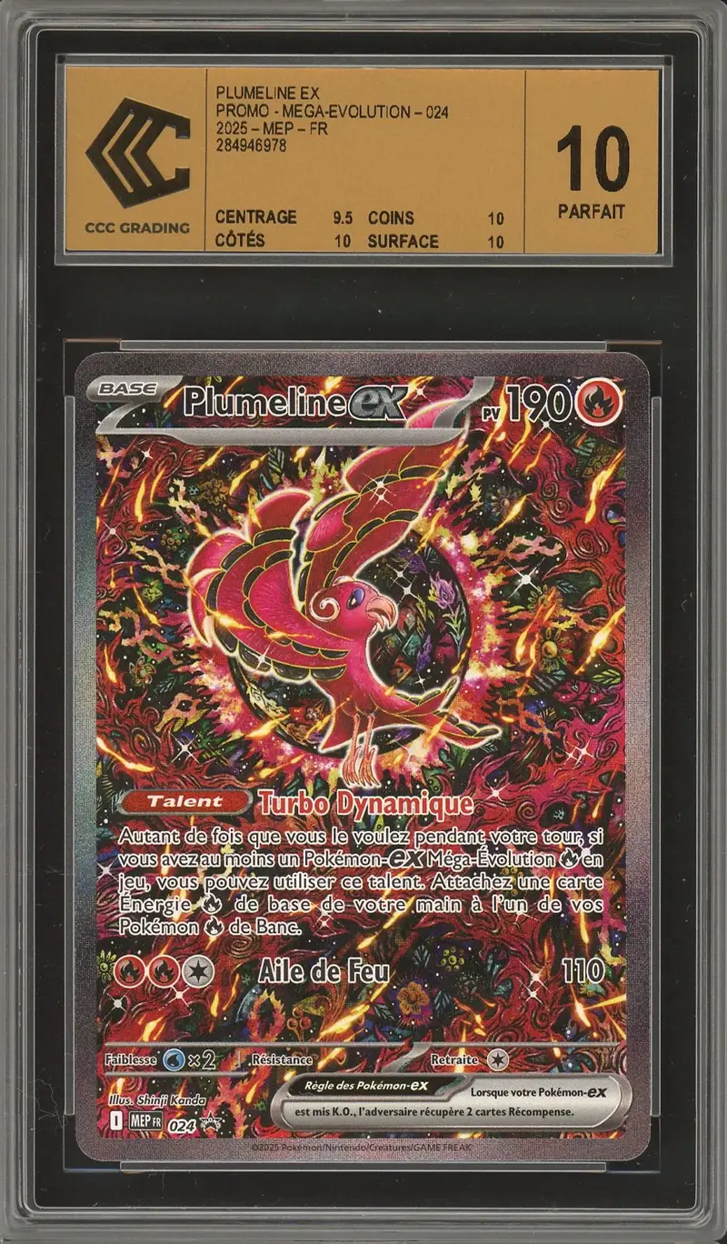 CCC 10 Plumeline Ex