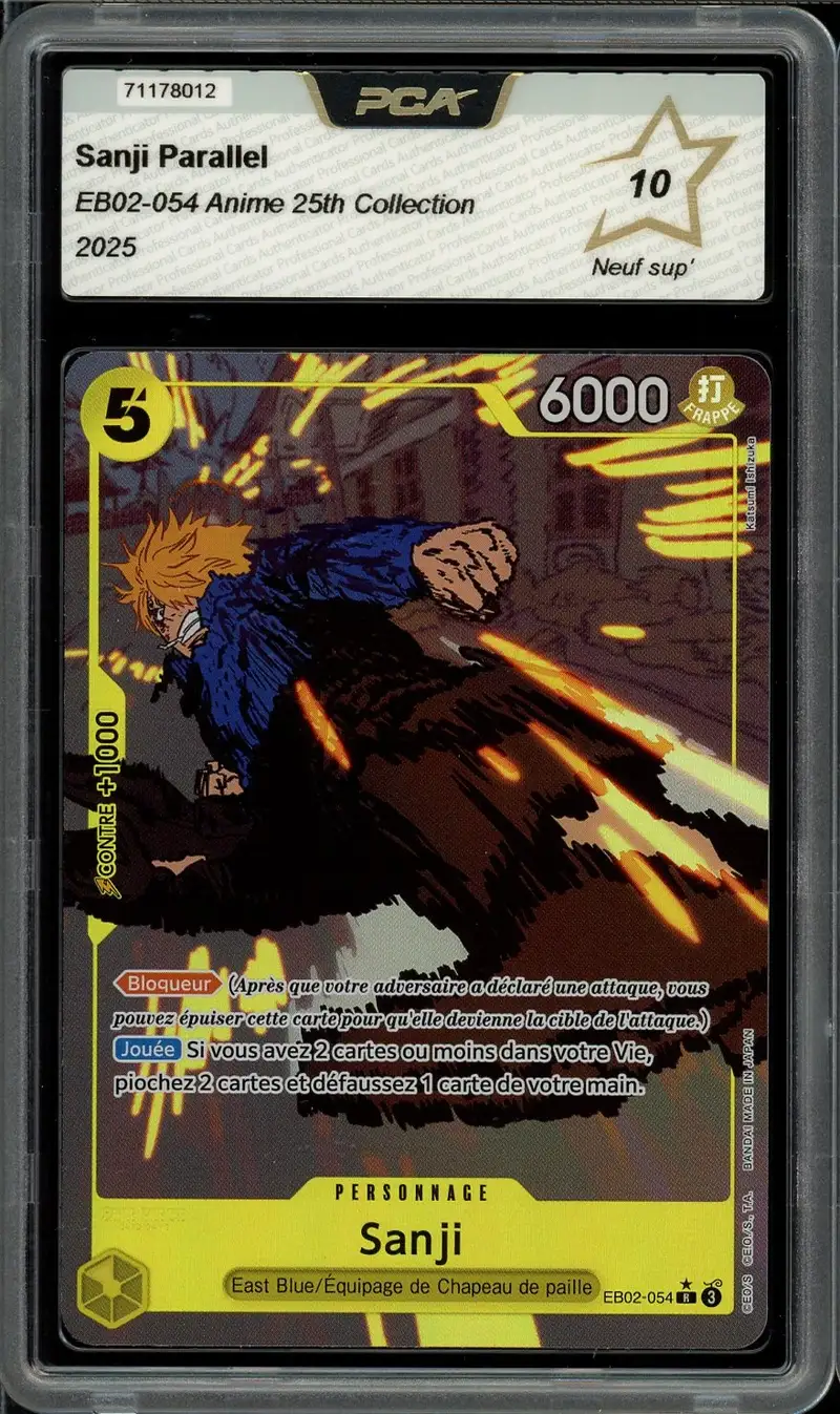 PCA 10 Sanji