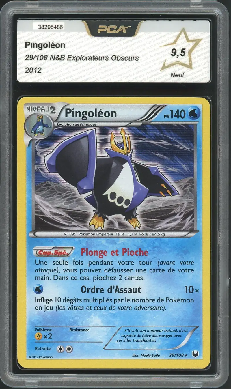 PCA 9.5 Pingoléon