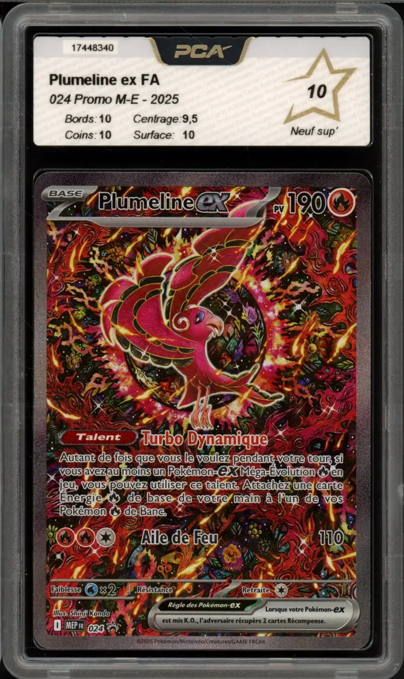 PCA 10 Plumeline Ex