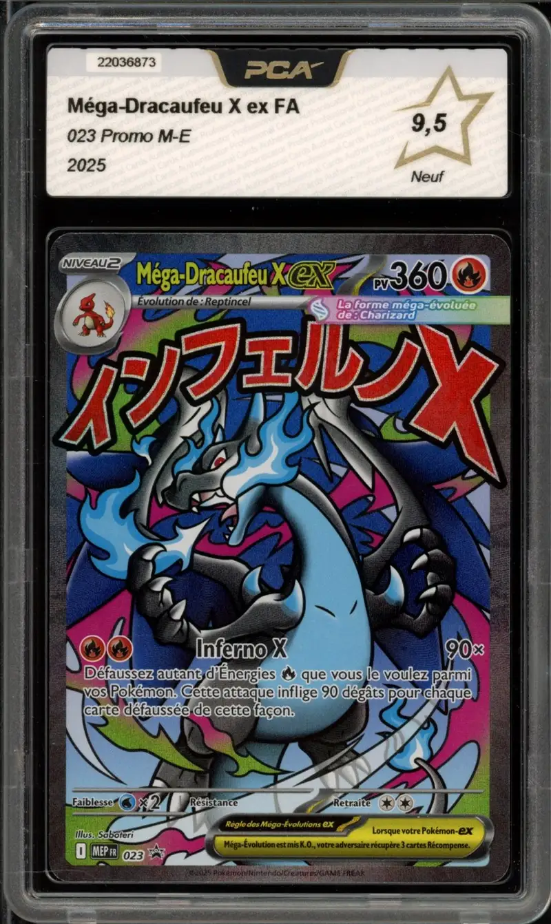 PCA 9.5 Méga-Dracaufeu X Ex