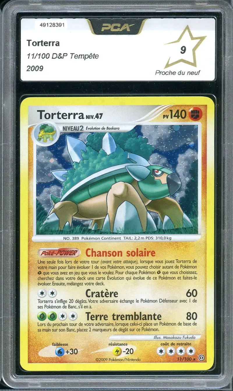 PCA 9 Torterra Holo