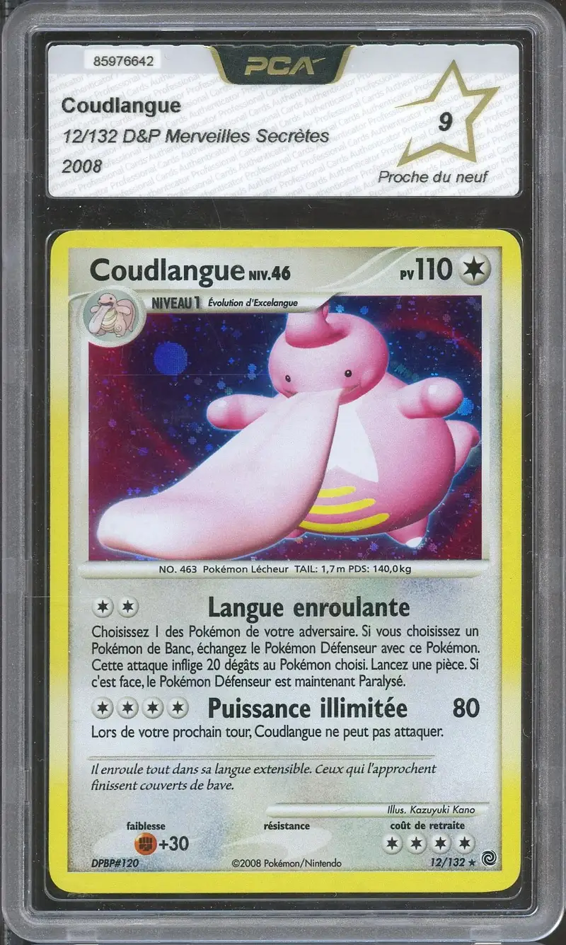 PCA 9 Coudlangue Holo