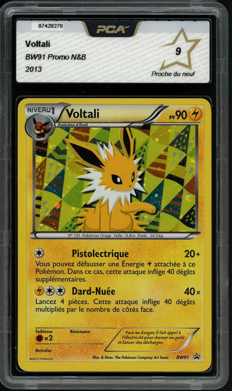 PCA 9 Voltali Holo