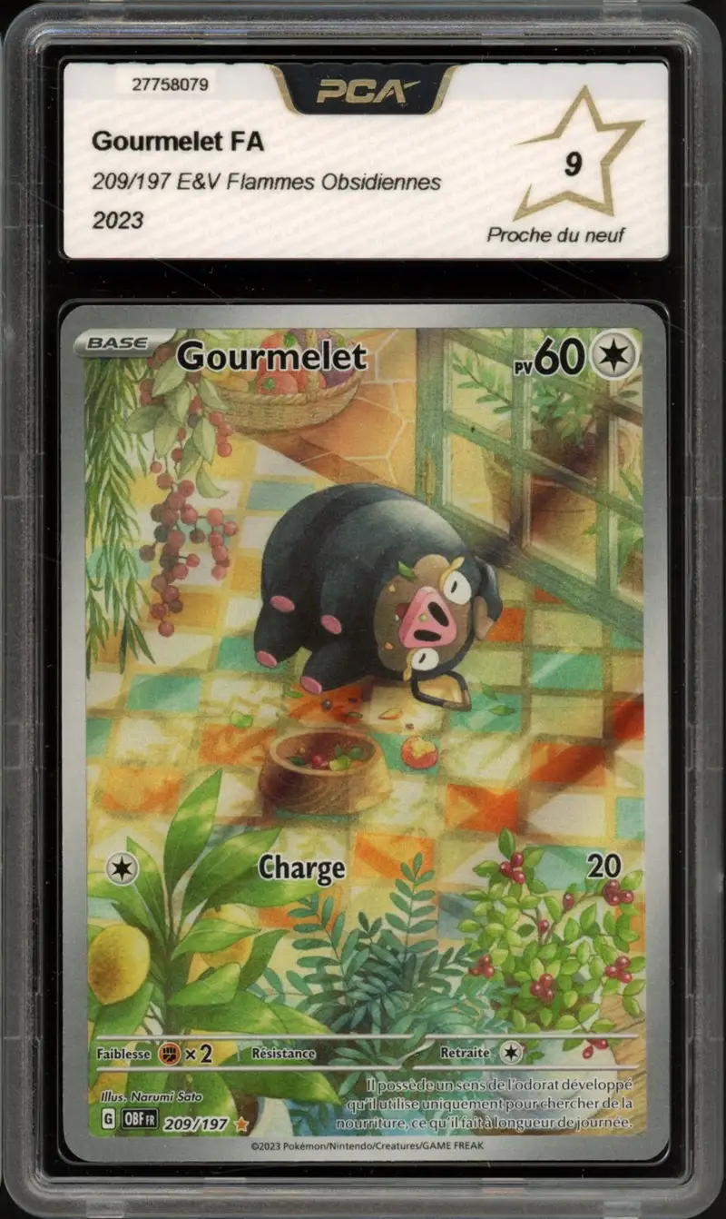 PCA 9 Gourmelet