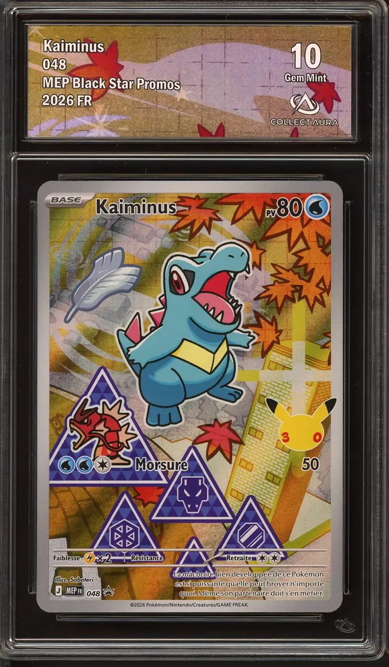 CA 10 Kaiminus
