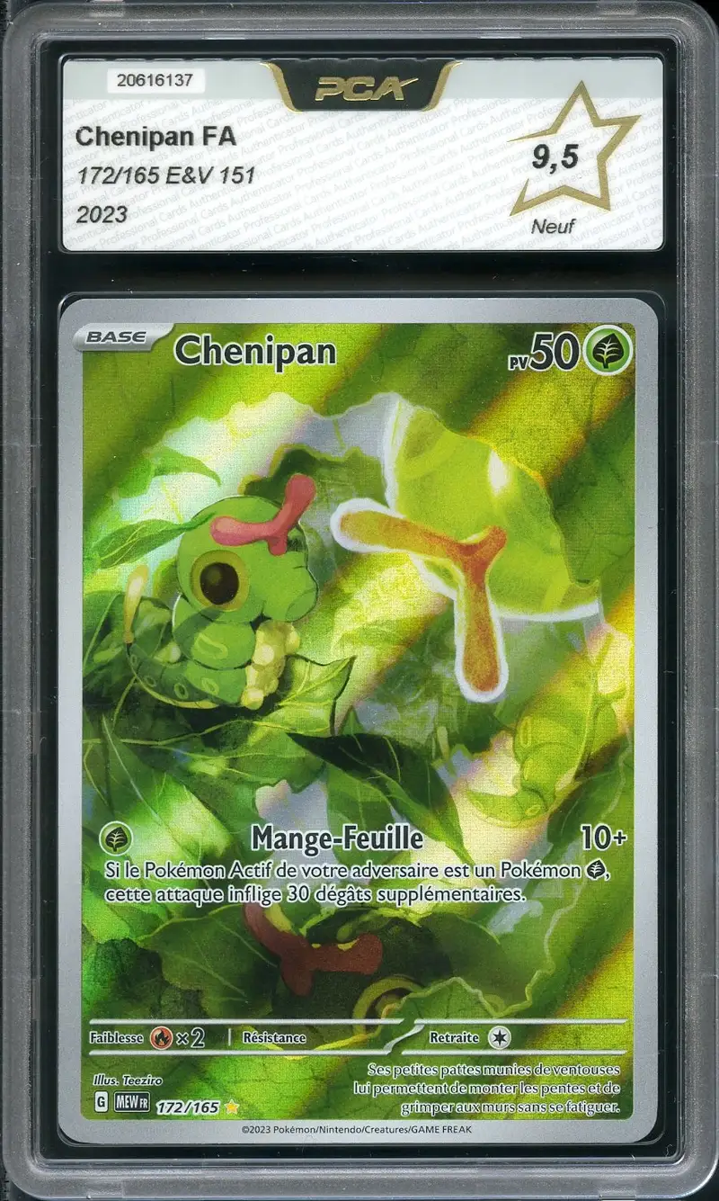PCA 9.5 Chenipan