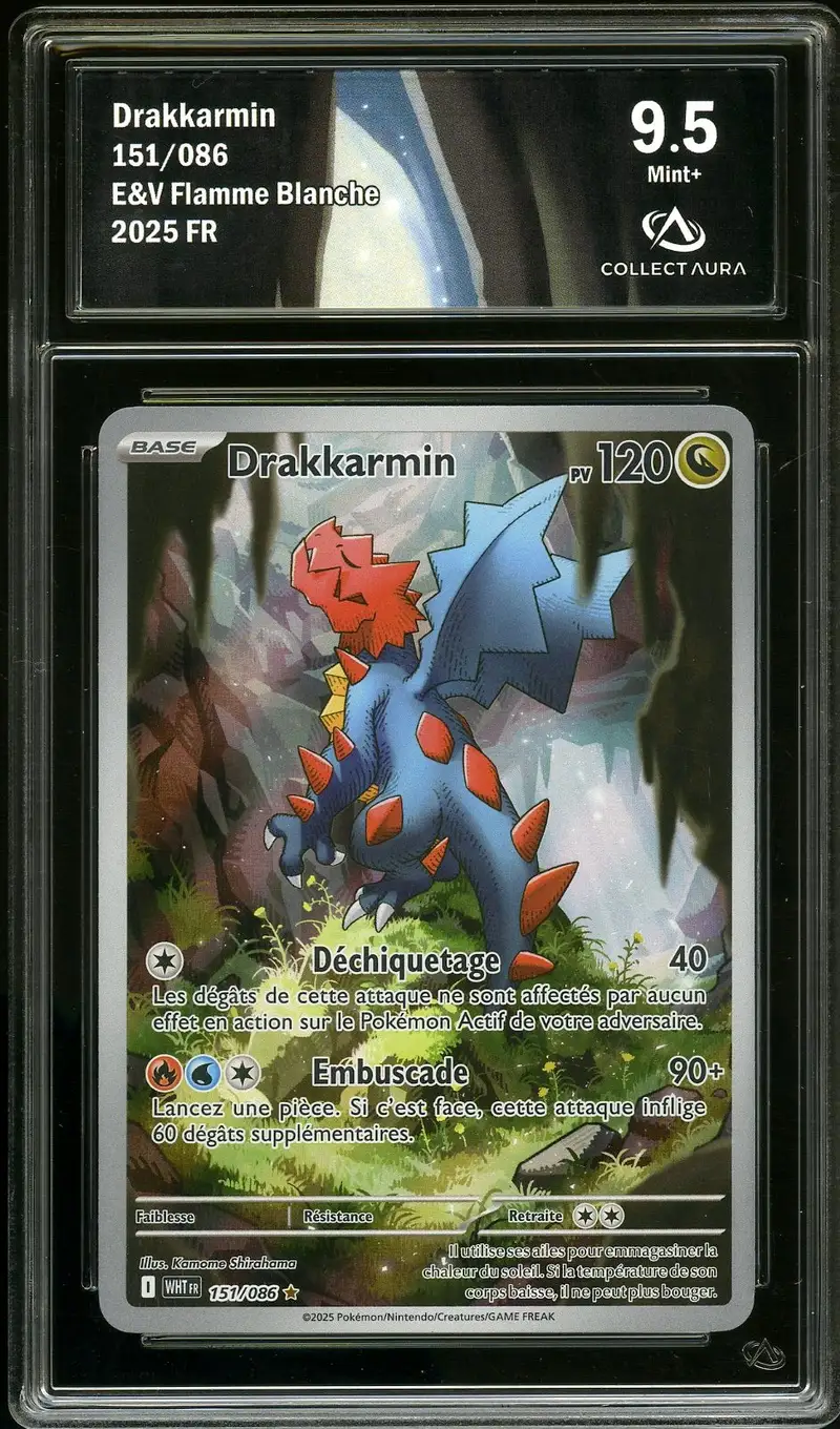 CA 9.5 Drakkarmin