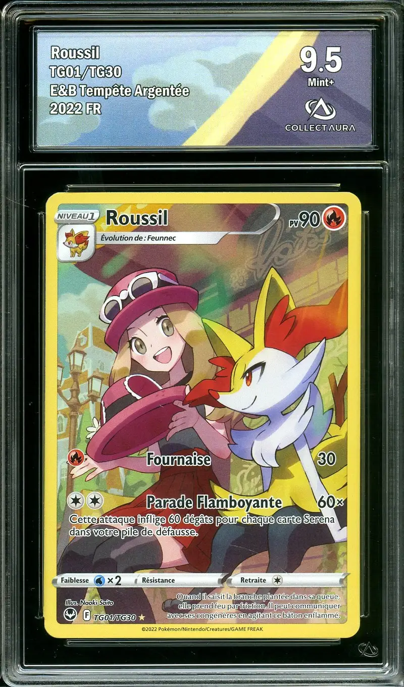 CA 9.5 Roussil