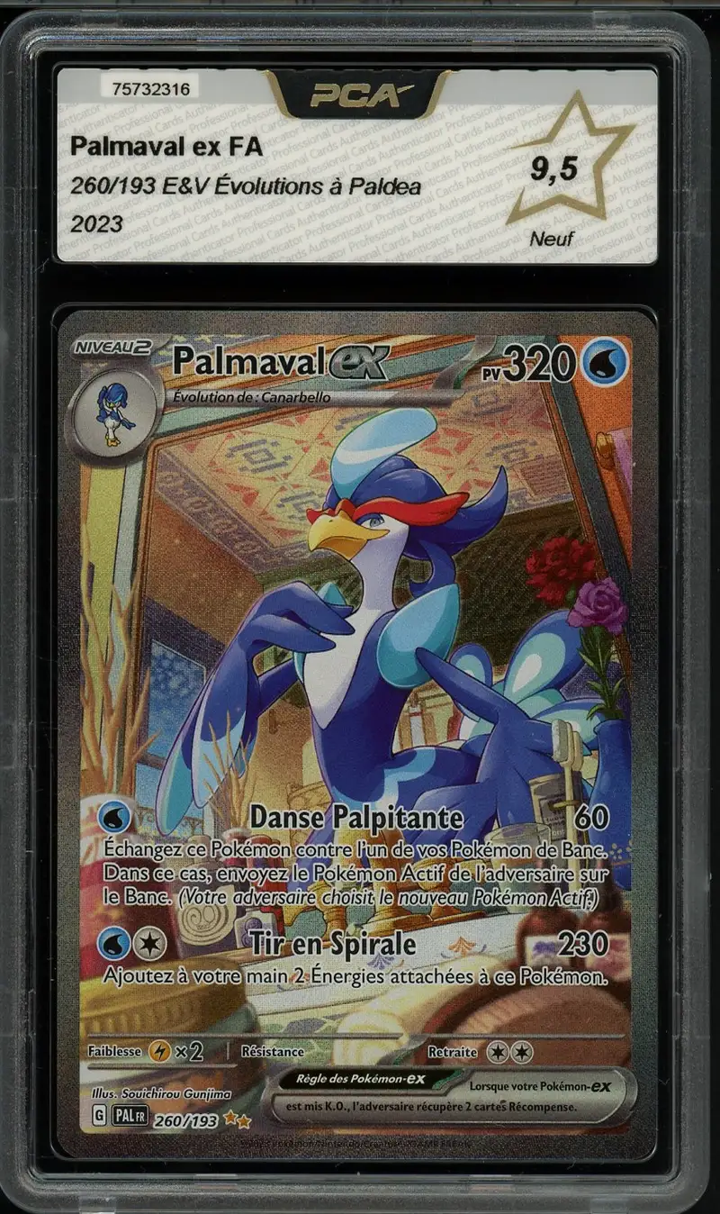 PCA 9.5 Palmaval Ex