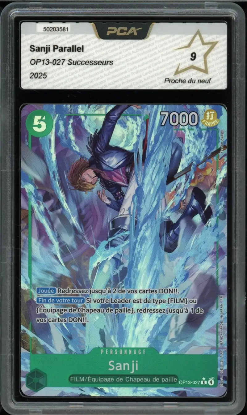 PCA 9 Sanji