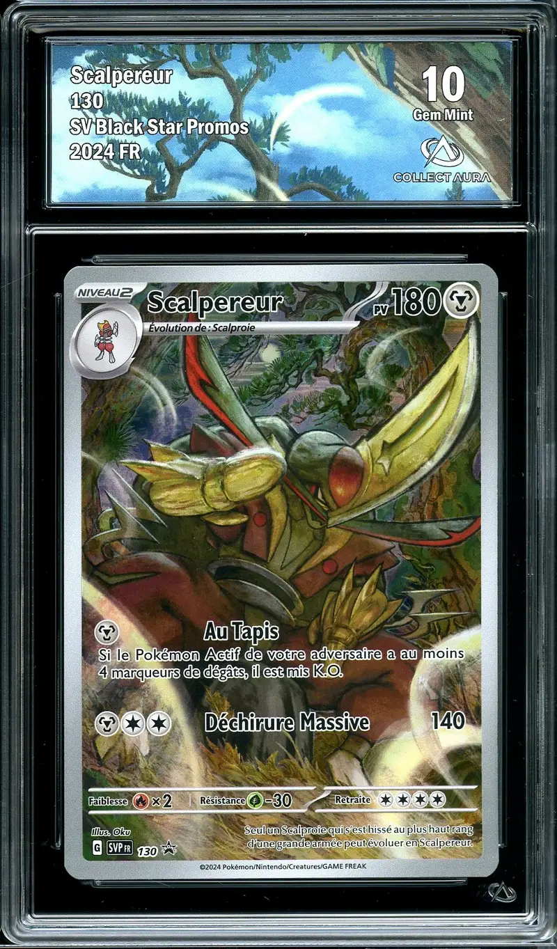 CA 10 Scalpereur