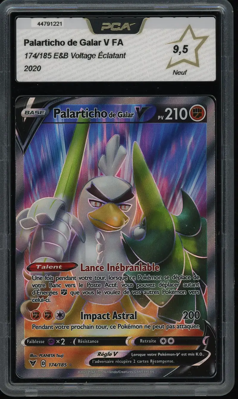 PCA 9.5 Palarticho de Galar V