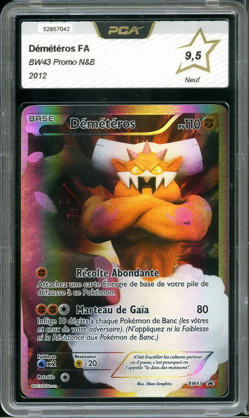 PCA 9.5 Démétéros