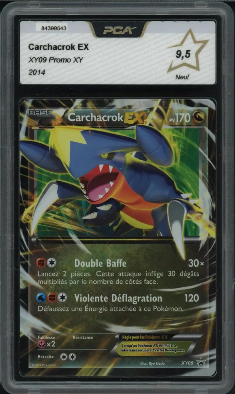 PCA 9.5 Carchacrok Ex