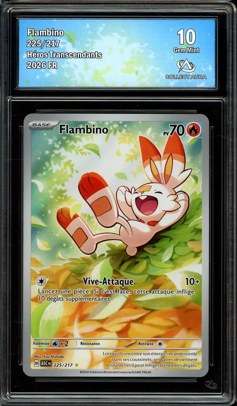 CA 10 Flambino