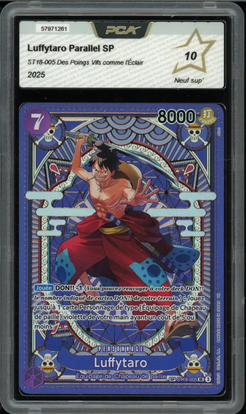 PCA 10 Luffytaro
