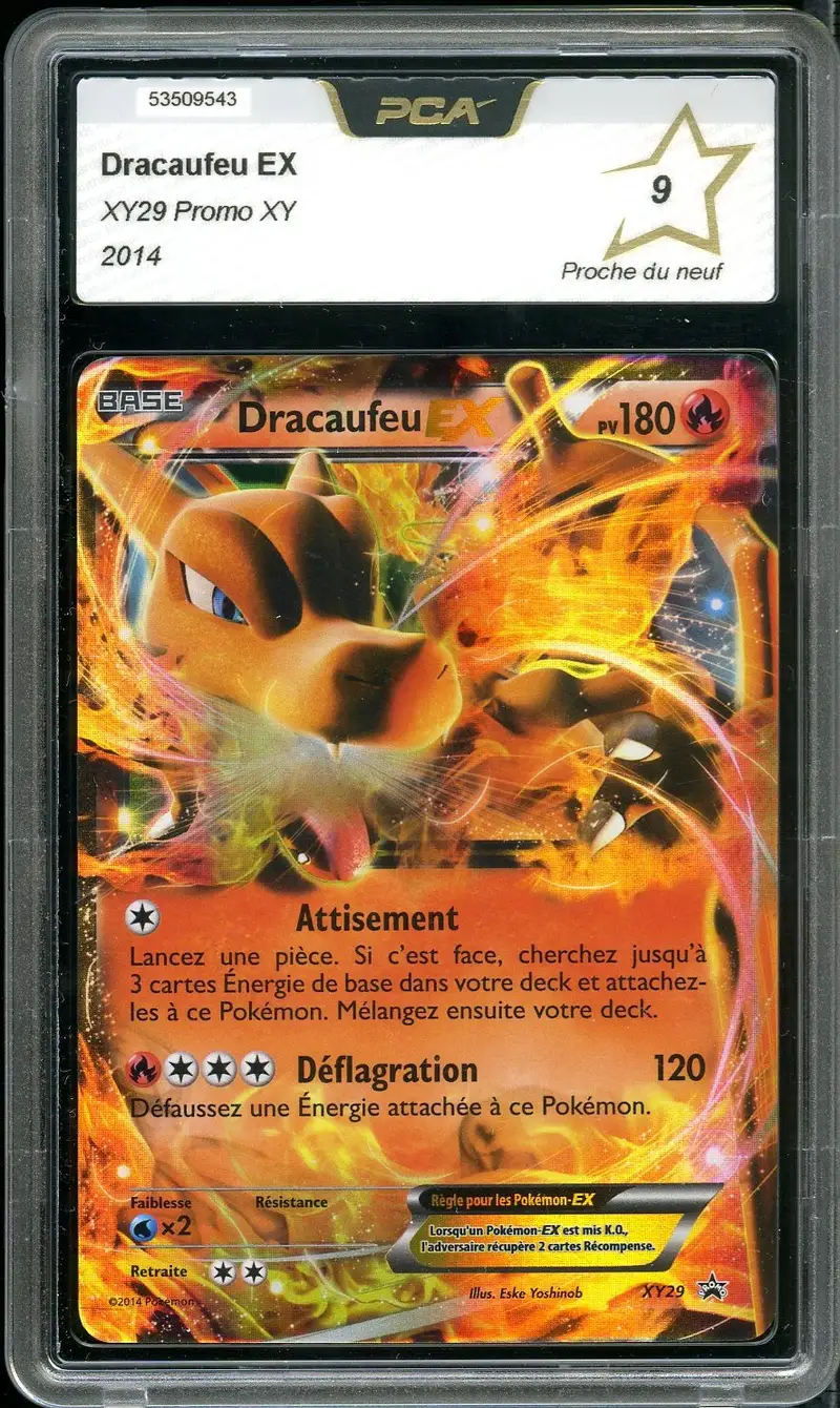 PCA 9 Dracaufeu Ex