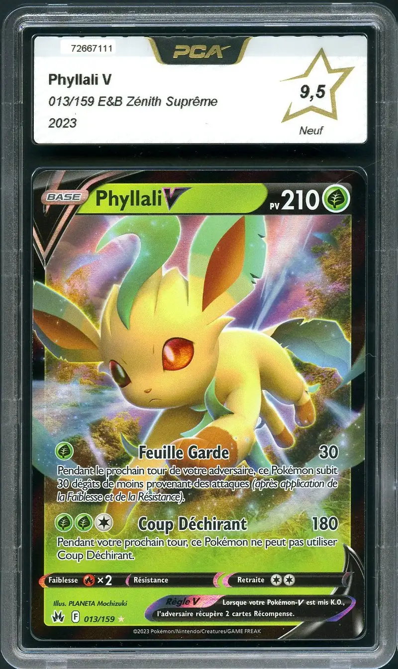 PCA 9.5 Phyllali V