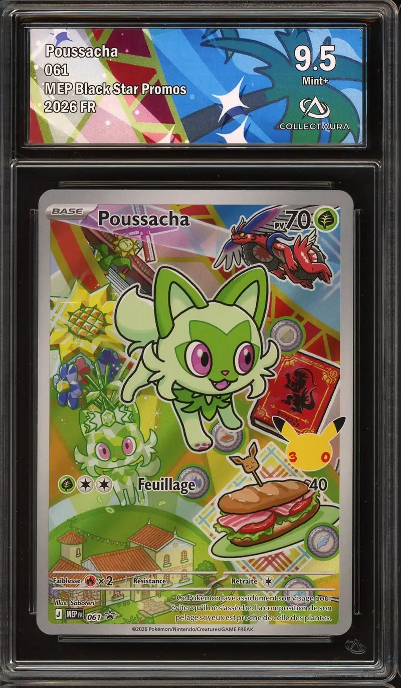 CA 9.5 Poussacha
