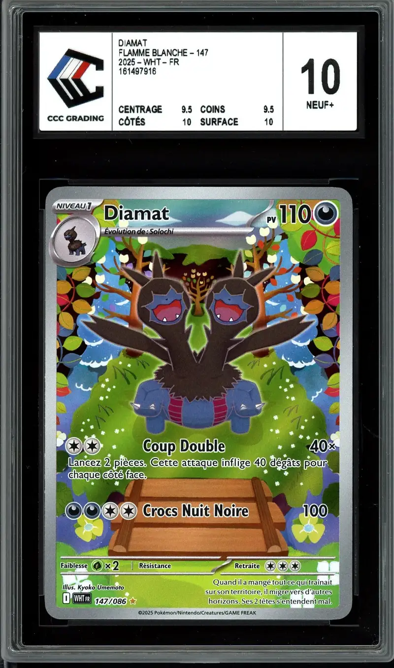CCC 10 Diamat