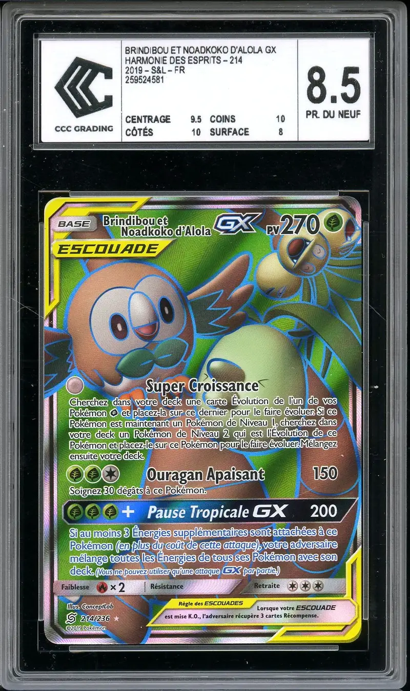 CCC 8.5 Brindibou et Noadkoko d’Alola Gx